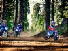 2020 Yamaha PW50 Gallery 2